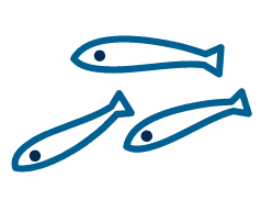 シラス
