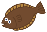 ヒラメ