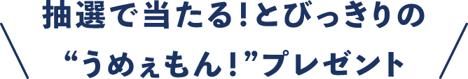 抽選で当たる!とびっきりの”うめぇもん!”プレゼント