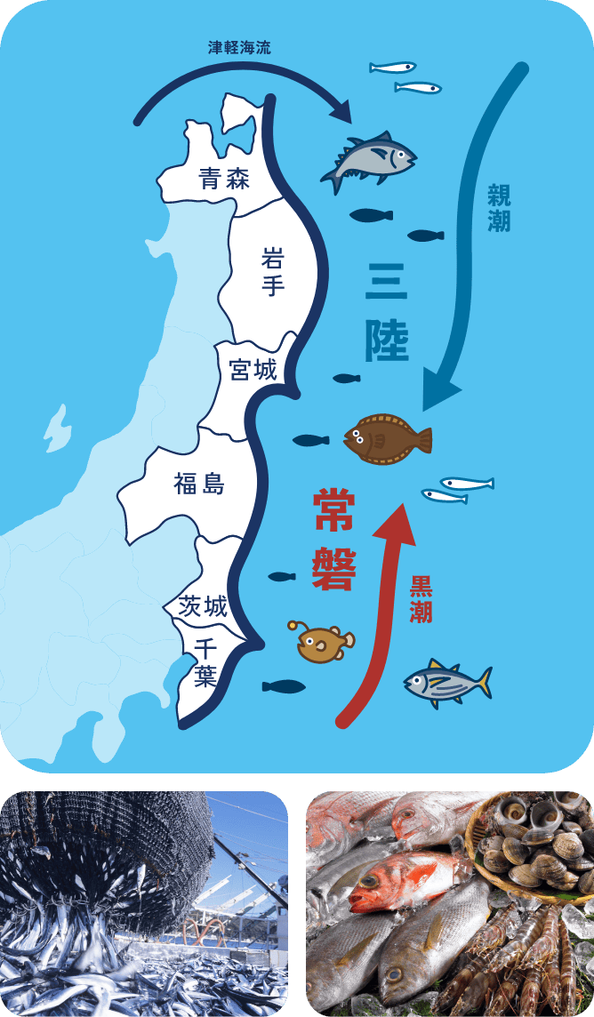 三陸・常磐の漁場イラスト