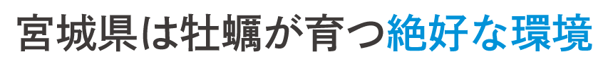 瞬間に旬を閉じ込める