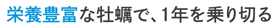 瞬間に旬を閉じ込める